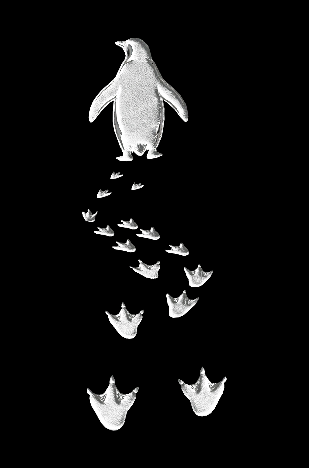 ASSEMA Erkek Nihilist Penguen Temalı Oversize Bisiklet Yaka Tişört - Siyah