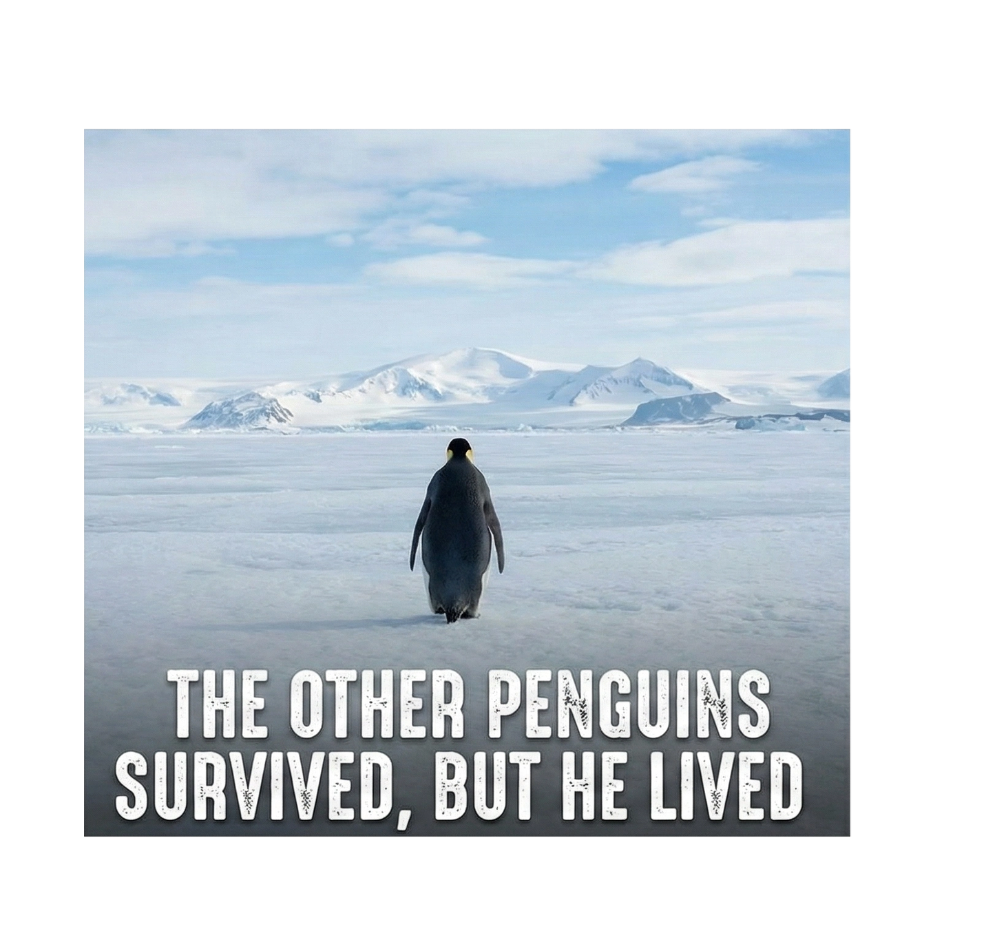 ASSEMA Kadın Oversize - Sırt Baskılı "Survivor Penguin" Temalı Felsefi Yazılı Kapüşonlu - Beyaz