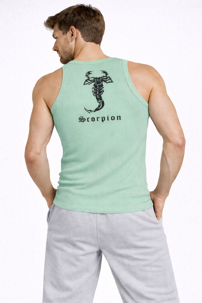 ASSEMA Erkek Spor Fitilli Atlet 2'li Set Siyah ve Mint Yeşili Slim Fit Kaşkorse Arka Baskılı Spor Atlet