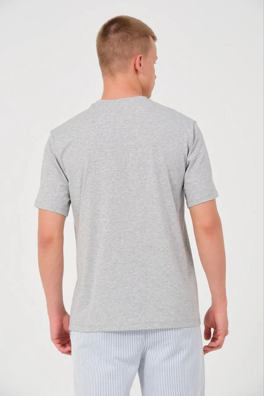 ASSEMA Erkek Düz  Kısa kol Penye T-shirt - Gri