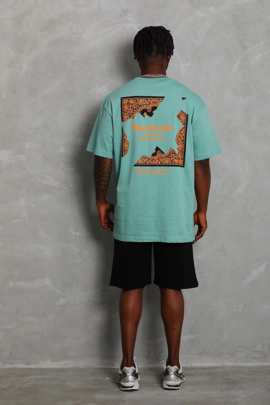 ASSEMA Unisex Oversize Baskılı Bisiklet Yaka T-Shirt - Mint Yeşili