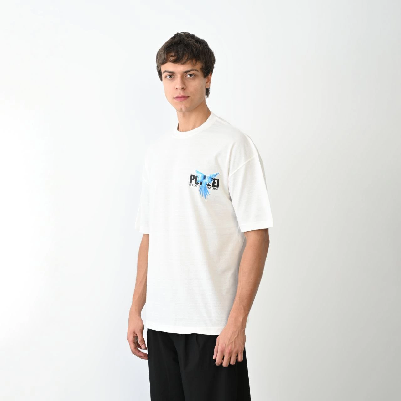 ASSEMA Erkek Baskılı T-Shirt Kısa Kol Bisiklet Yaka Regular Fit Rahat Kalıp Günlük Tişört - Beyaz