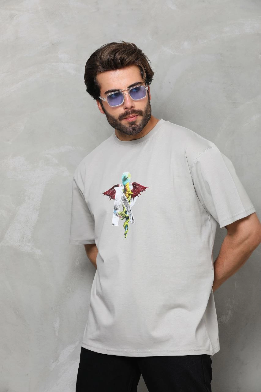 ASSEMA Erkek Baskılı T-Shirt Kısa Kol Bisiklet Yaka Regular Fit Rahat Kalıp Tişört -  Gri