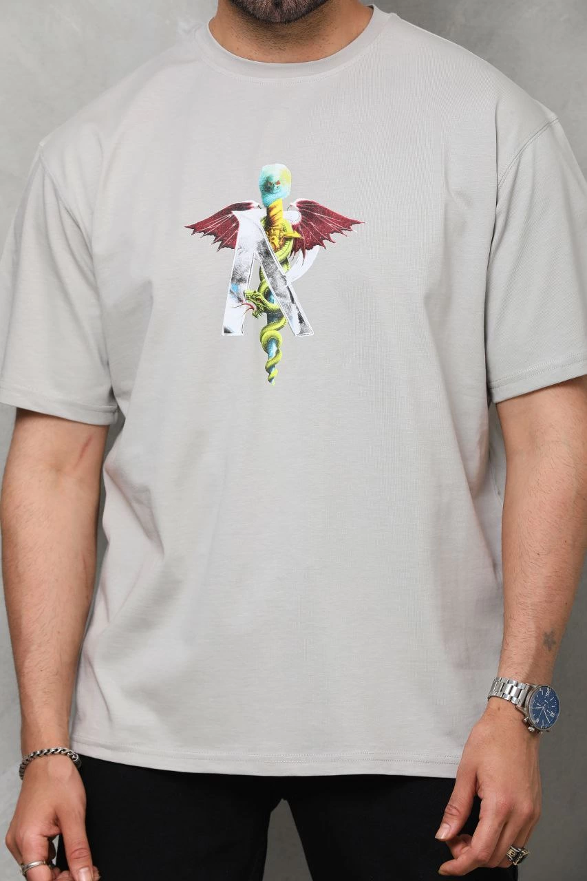 ASSEMA Erkek Baskılı T-Shirt Kısa Kol Bisiklet Yaka Regular Fit Rahat Kalıp Tişört -  Gri